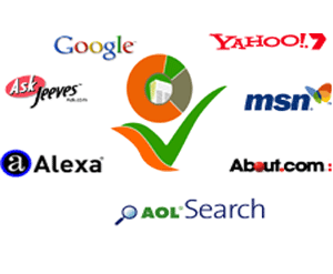 Search engine optimization platform